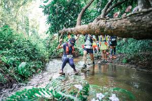 BIB: 
                            <button type="button" onclick="openModal(25474979)" class="btn btn-primary btn-sm float-right btn-popup" data-toggle="modal" data-target=".modal-high-quality">
                        <i class="fas fa-shopping-cart"></i> Add to Cart
                    </button>
                                            <button type="button" onclick="isThisMe(25474979, true)" class="btn btn-success btn-sm float-right btn-popup btn-isme hidden" data-toggle="tooltip" data-placement="bottom" title="นี่คือรูปของคุณใช่ไหม คลิกที่นี่เพื่อเอาเข้าอัลบั้ม">
                        <i class="fas fa-plus"></i> Add to album
                    </button>
                    <button type="button" onclick="isThisMe(25474979, false)" class="btn btn-warning btn-sm float-right btn-popup btn-isnotme hidden">
                        <i class="fas fa-ban"></i> Remove from album
                    </button>